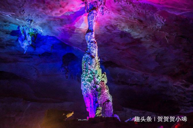燃烧吧大脑装瓶子游戏